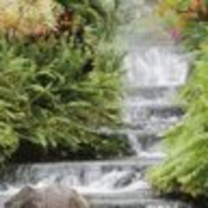 Meet your Posher, Talia